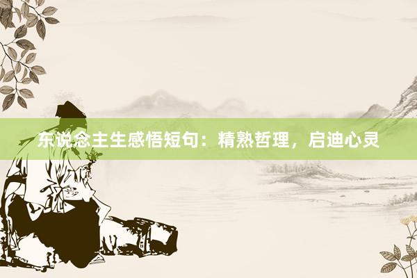 东说念主生感悟短句:精熟哲理,启迪心灵